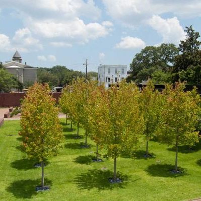 Landscape Design Services Georgia